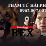 công ty thám tử hải phòng