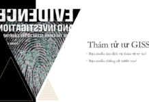 Kinh nghiệm và thành công của Thám tử GISS