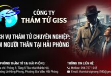 Công ty thám tử GISS: Dịch vụ tìm người thân uy tín tại Hải Phòng
