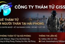Thuê thám tử tìm người thân ở Hải Phòng