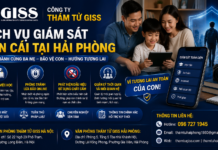 Hỗ trợ phụ huynh đồng hành cùng con tại Hải Phòng – Giải pháp giúp bảo vệ trẻ trong môi trường hiện đại